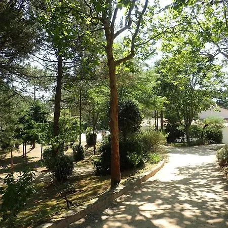 Victoria 204 Holiday home Saint-Jean-de-Monts